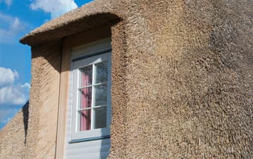 Point Clear thatch roof disadvantages