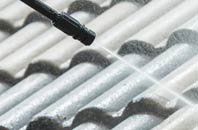 rated Point Clear roof cleaning companies